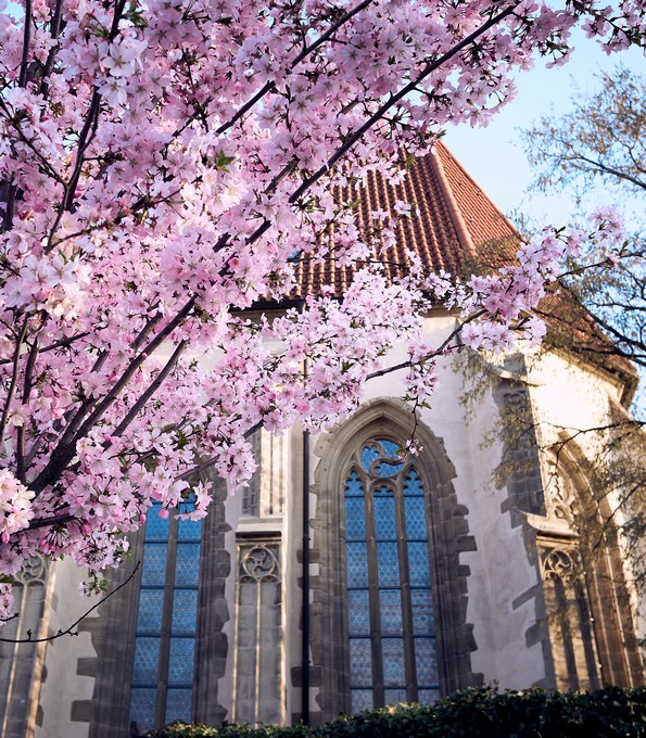 Katharinenkirche Ludwigsburg-Eglosheim (Baden-Württemberg)