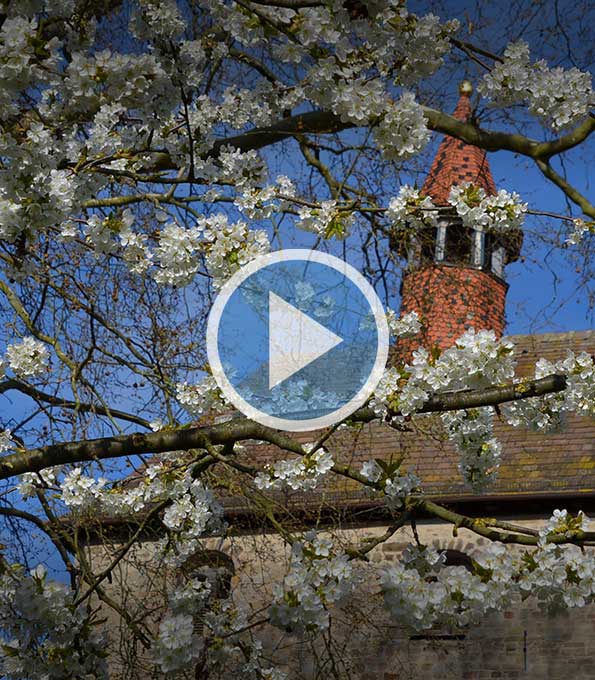 Stift Fischbeck, St. Johannis Hessisch Oldendorf (Niedersachsen)