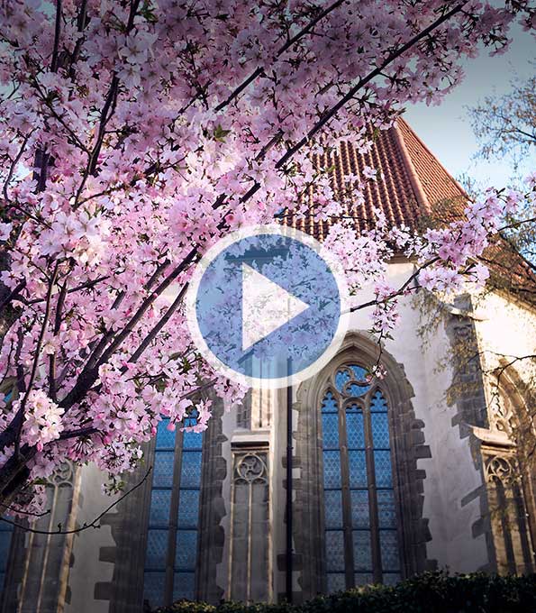 Katharinenkirche Ludwigsburg-Eglosheim (Baden-Württemberg)